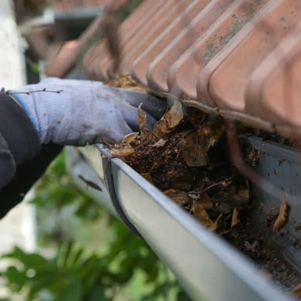 Professional gutter cleaning service in Orlando FL by PatioShield, removing leaves and debris to ensure smooth water drainage and prevent clogs